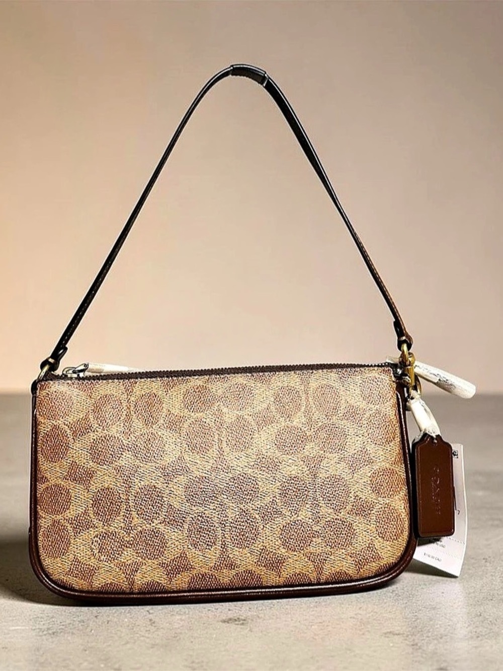 COACH plaza 22 In Signature Canvas